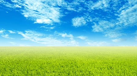 שמיים כחולים, שדה ירוק ירוק - וזה מוכר למועדפת!!!